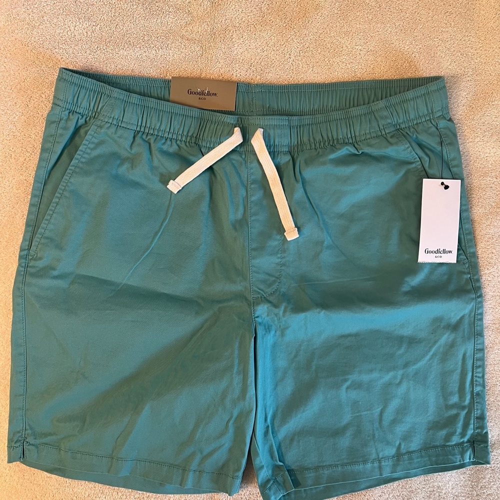 Goodfellow & Co Men's Teal Swim Shorts